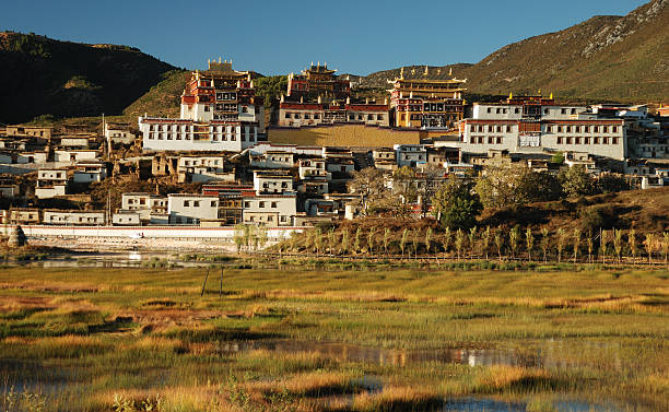 Tibetan Monastery with swampy field at the foreground stock photo