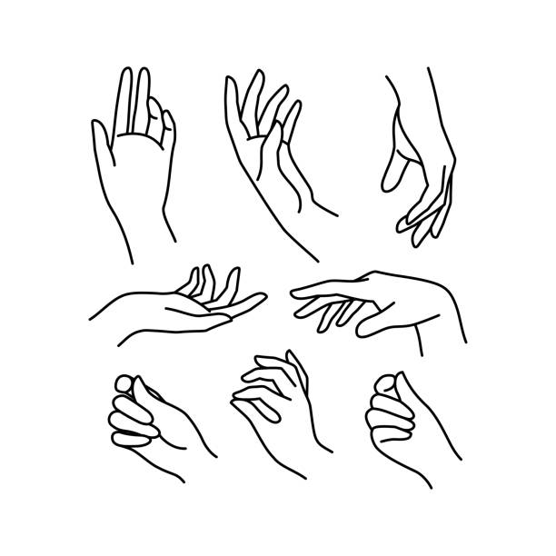 ilustraciones, imágenes clip art, dibujos animados e iconos de stock de línea de recogida de icono sin mano de mujer. ilustración vectorial de manos femeninas elegantes de diferentes gestos. - hand drawing