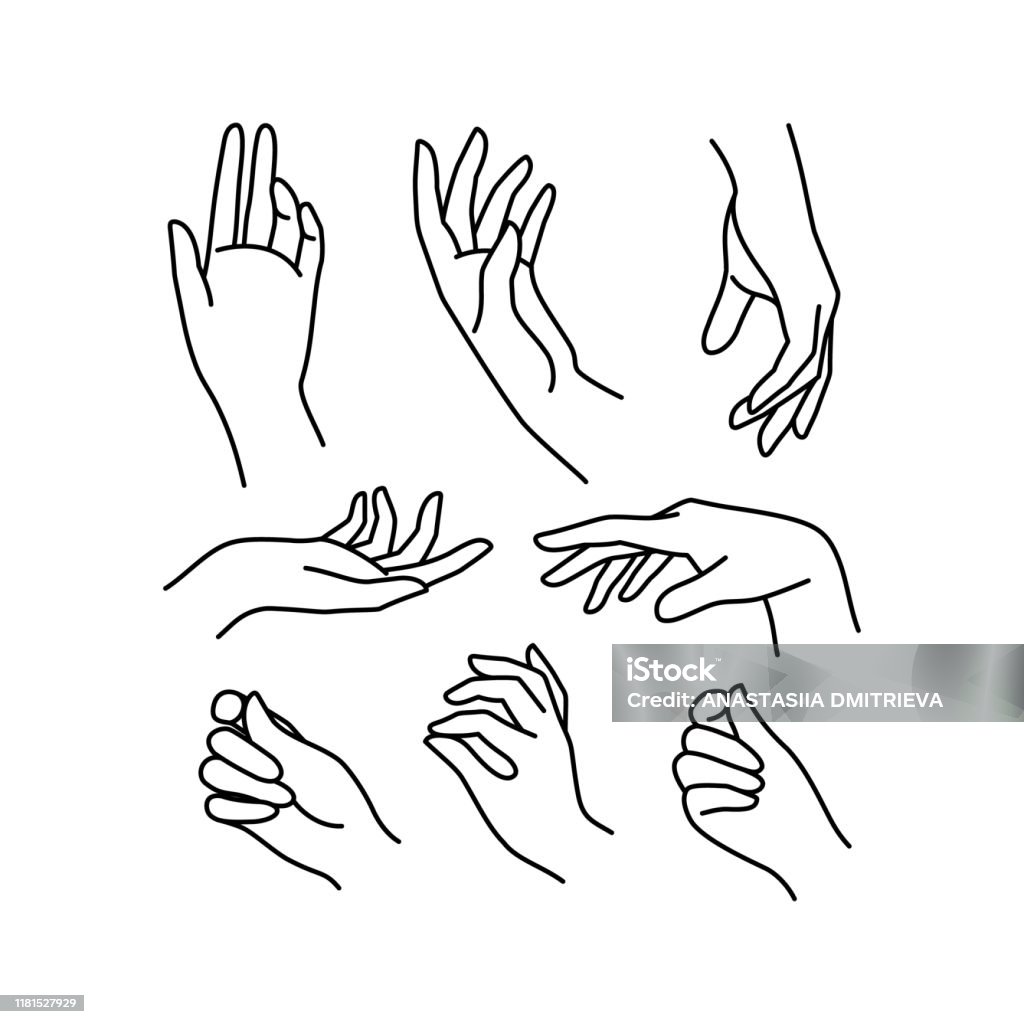 Woman's hand icon collection line. Vector Illustration of Elegant female hands of different gestures. Woman's hand icon collection line. Vector Illustration of Elegant female hands of different gestures. Lineart in a trendy minimalist style. Hand stock vector