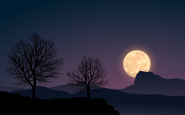 슈퍼 문 - moon moon surface full moon night stock illustrations