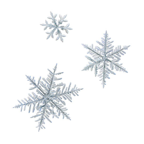 istock Three snowflakes isolated on white background 1181542263