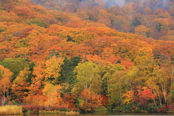 istock Hachimantai of colored leaves 1181542277