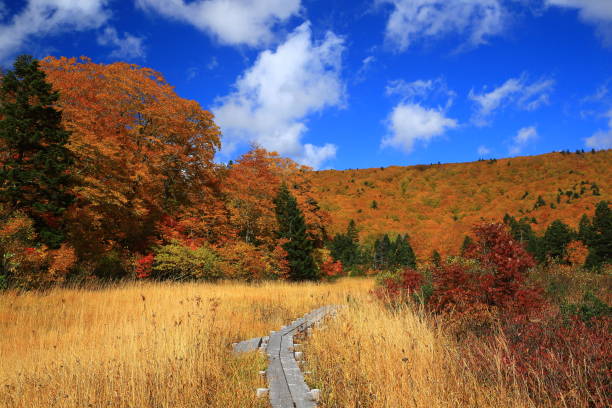 istock Hachimantai of colored leaves 1181542440