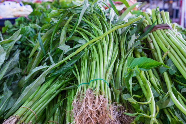 istock Morning glory in shelf at fresh market 1181548520