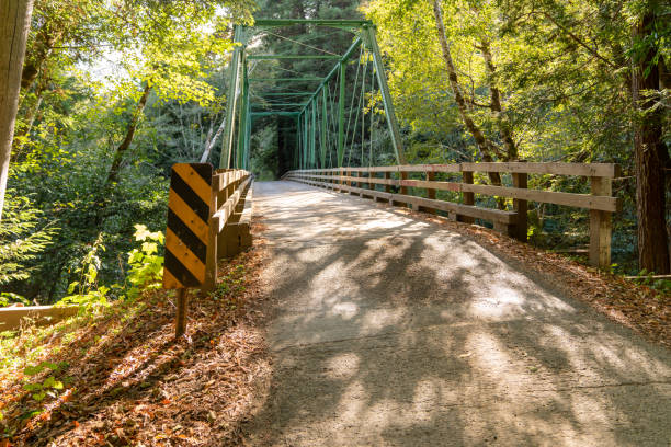istock Old bridge in rural California - Gualala 1181549685