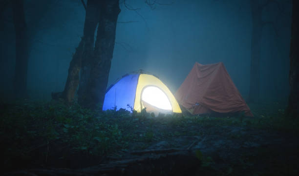 istock Camping tent in the forest at night. 1181551462