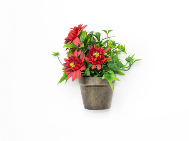 Bouquet red flowers in a pot isolated on white background