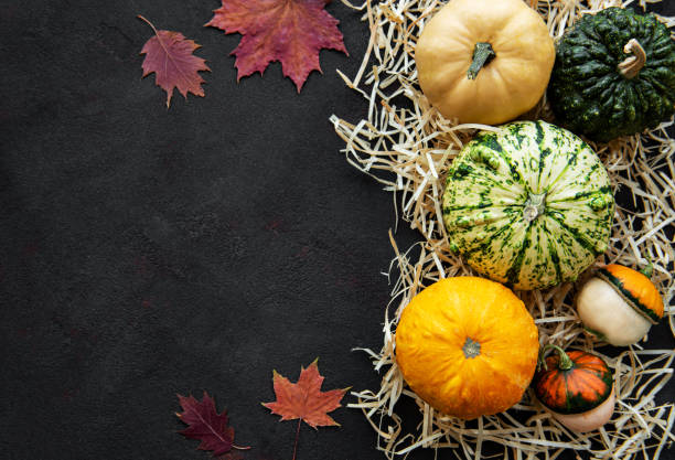 istock Pumpkins on a black background 1181555810