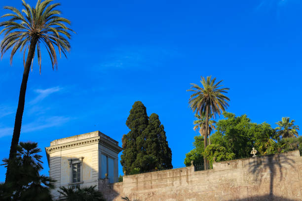 Palm tree in blue sly background near old italian buildings. Concept of tours to tropical countries and summer vacations in Europe.