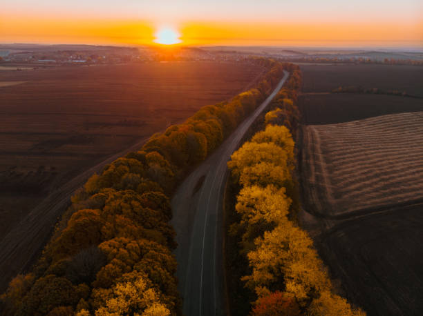 istock aerial view of autumn highway in forest copy space 1181556527