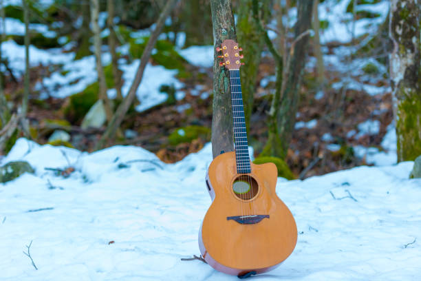 istock Guitar Leaning on a Tree in the Snowy Fores 1181562418