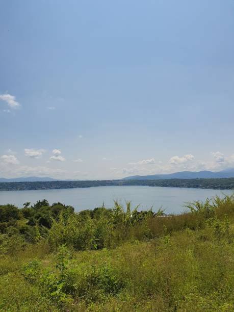 istock tropical landscape in Tequesquitengo Lagoon, Mexico on a sunny day 1181562703