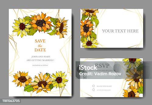 istock Vector Sunflower botanical flowers. Yellow and green engraved ink art. Wedding background card floral decorative border. 1181563705
