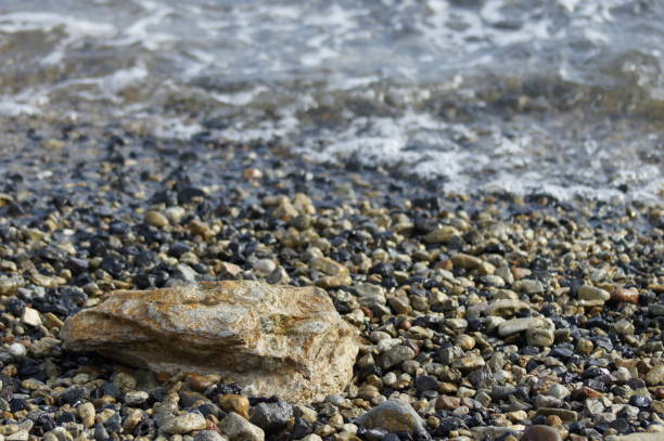 istock From the sunny autumn seaside, Hyogo Aioi 1181564347