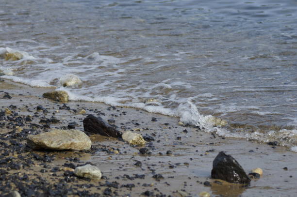 istock From the sunny autumn seaside, Hyogo Aioi 1181564366