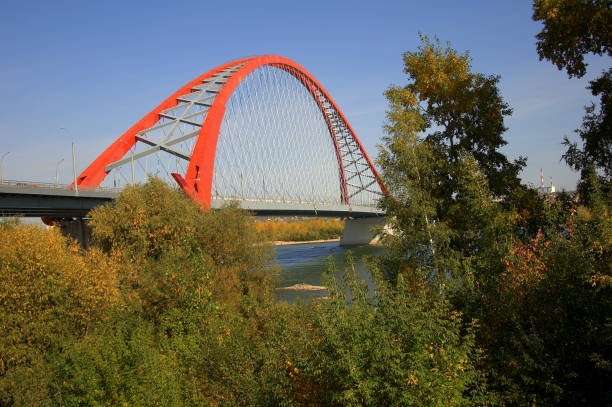 istock Cable-stayed bridge in red, view through the leaves and branches of trees. 1181566105