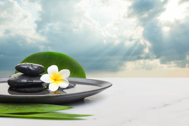 istock spa objects with big leaves on white background. Spa healthy con 1181566201