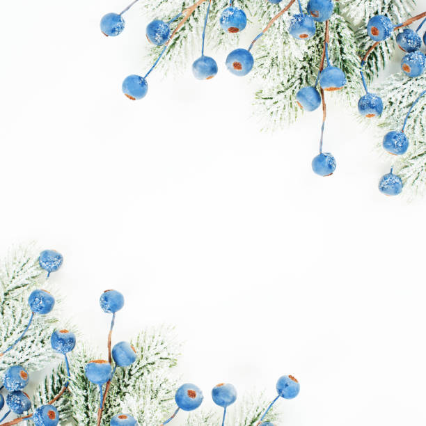istock Christmas composition corner. Xmas tree branch and blue berries isolated on white background 1181567980