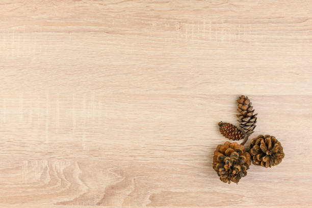 View of pebbles and brown pine cone