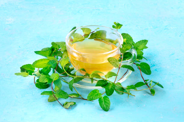 istock Mint tea cup on a blue background with vibrant fresh leaves 1181569160