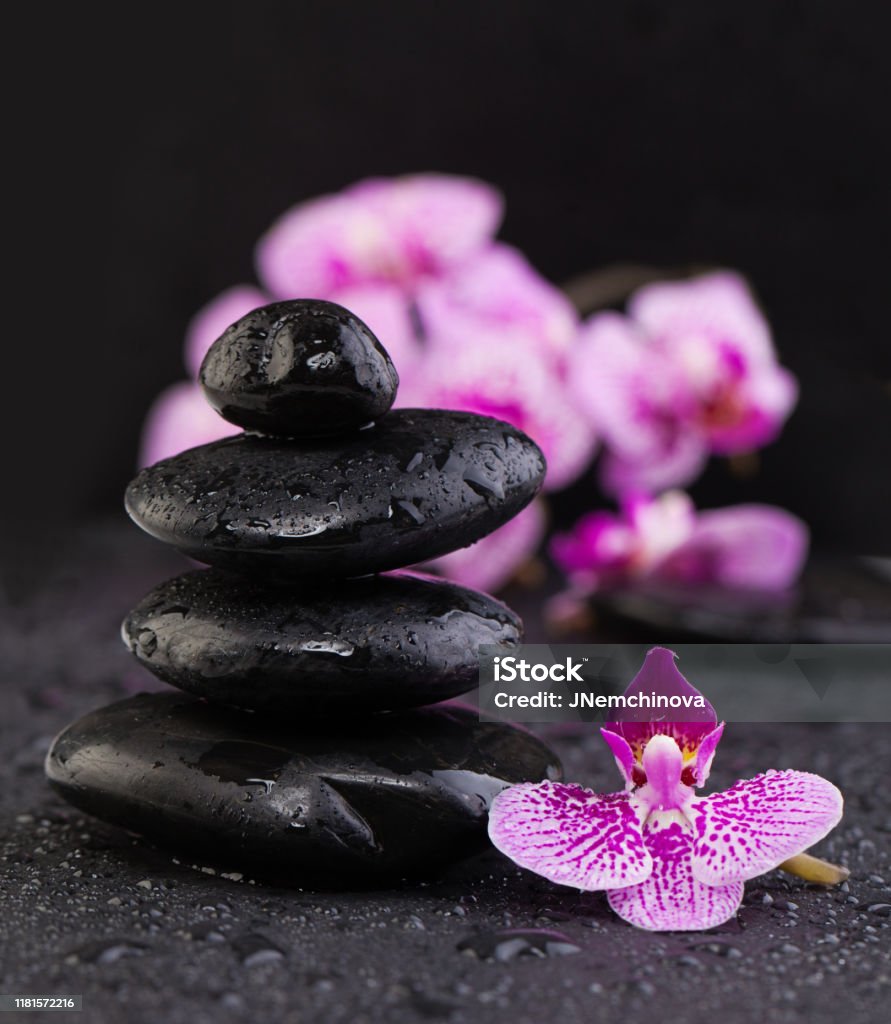 Piedras Zen Asiáticas Con Flores De Orquídeas Sobre Fondo Negro Con Gotas De  Agua Foto de stock y más banco de imágenes de Abstracto - iStock