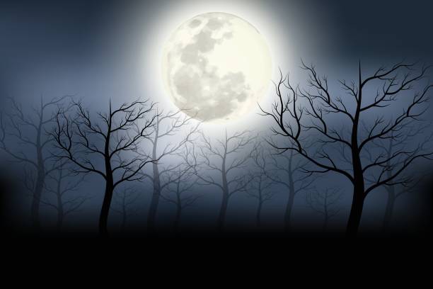 istock A scary forest with a mist curtain Lonely atmosphere Halloween festival background illustration. 1181579278