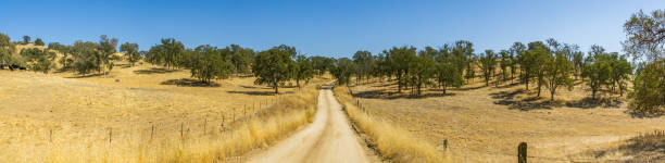 istock Country Dirt Road 1181579589