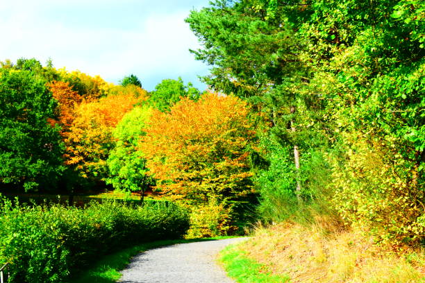 istock autumn at Heilbachsee 1181584864