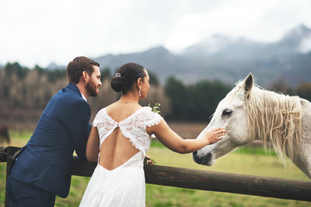 Shot of a happy newlywed young couple petting a horse outside on their wedding day