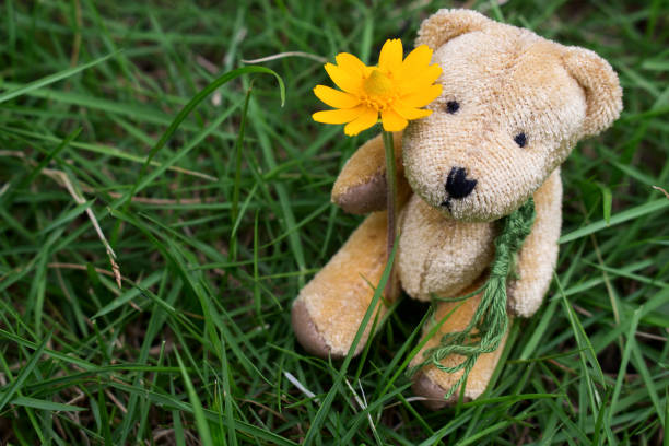 istock Bear Doll Sitting in Grass 1181587558