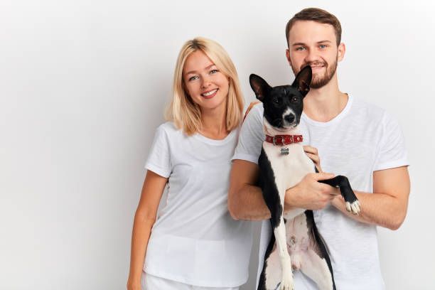 istock talented vets will treat your pet from different illnesses 1181588529