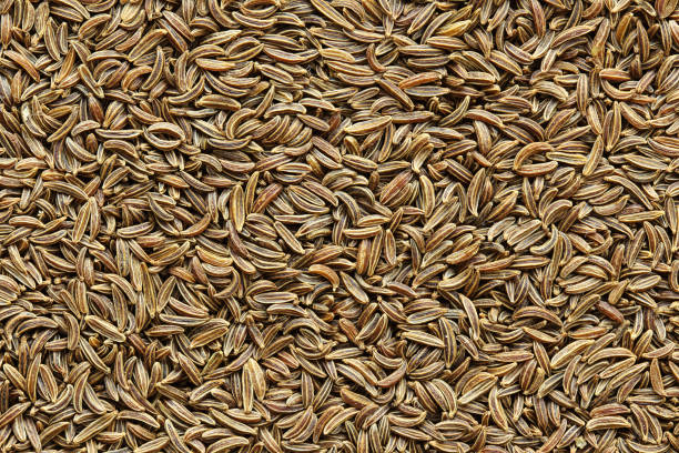 caraway seeds closeup background texture