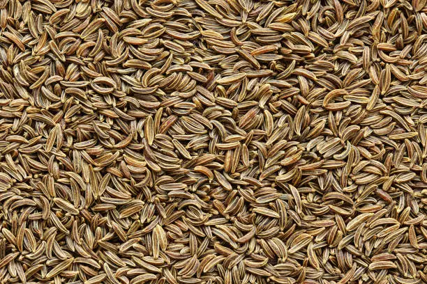 caraway seeds in closeup view background texture