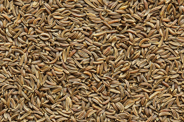 caraway seeds closeup background texture - caraway imagens e fotografias de stock