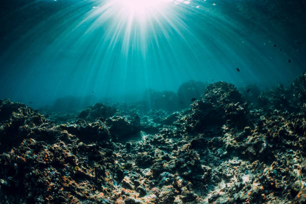 istock Underwater scene with corals, rocks and sun rays. Tropical sea 1181594568