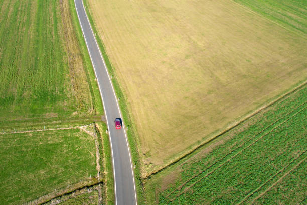 istock Country road through agricultural fields 1181600605