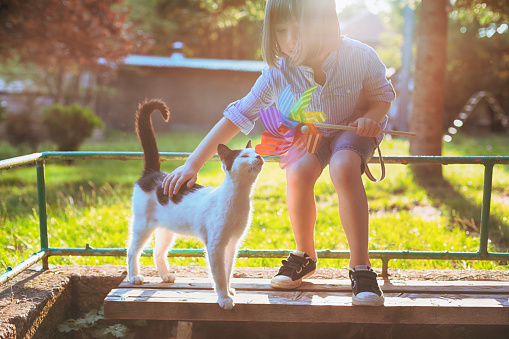 Child with rainbow pinwheel toy playing with stray cat.