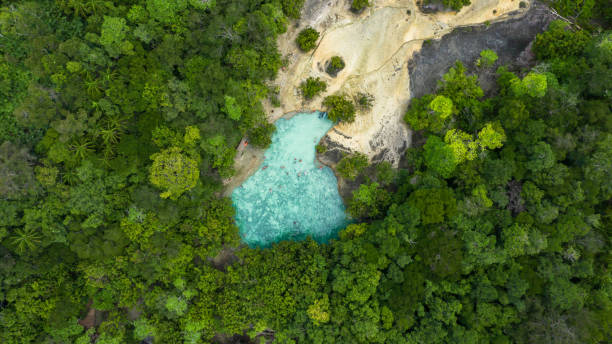 aerial view emerald pool,  blue pool tourist destination in krabi, krabi, thailand - thailand heaven tropical rainforest forest imagens e fotografias de stock