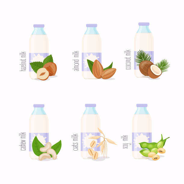 illustrazioni stock, clip art, cartoni animati e icone di tendenza di diverse variazioni di latte a base vegetale. set di noci: nocciola, cocco, mandorla, soia, avena, anacardi. - cashew apple fruit food jar