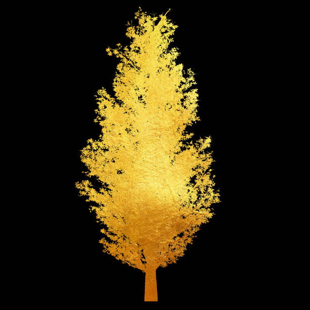 istock Golden tree with leaves isolated on black background. 1181604617