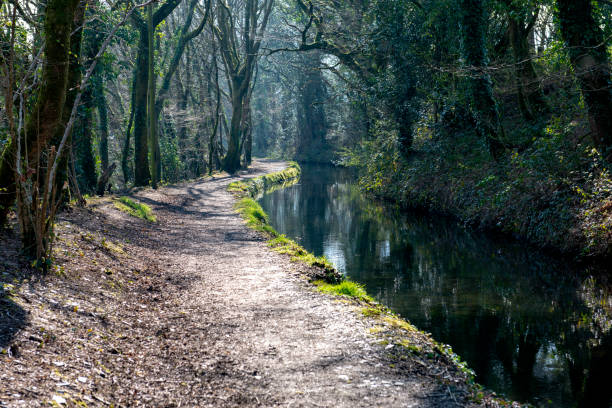 istock Tavistock Canal 1181604912