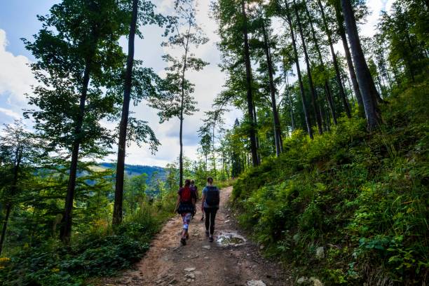 istock Tourist on footpath in mountain. 1181605984