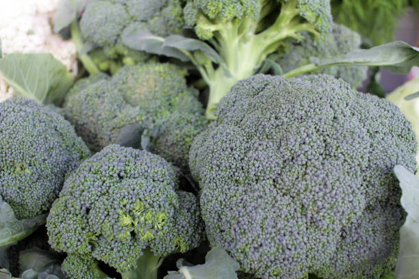 istock Fresh broccoli on a farmer market. Green vegetables. Broccoli pattern. 1181607052