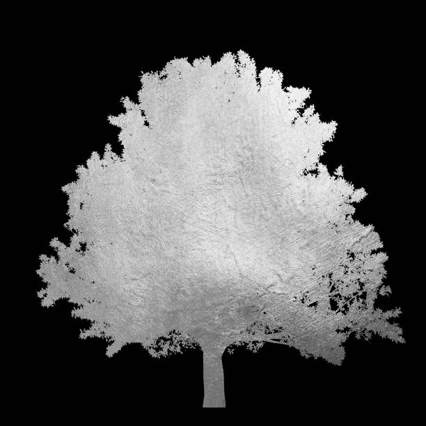 istock Silver tree with leaves isolated on black background. 1181610691