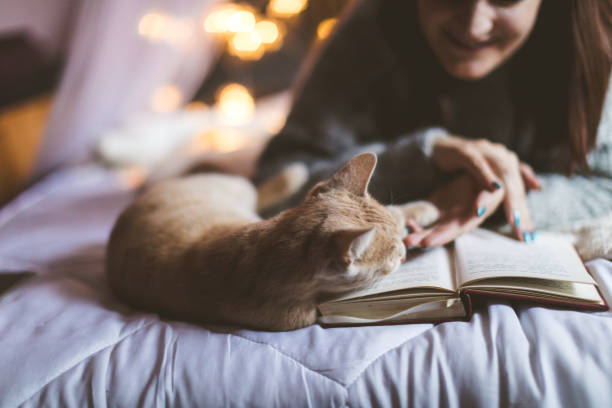 istock Woman with cute cat 1181613215