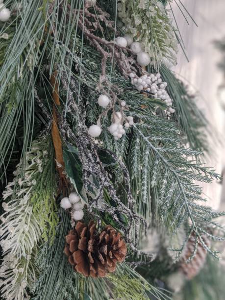istock Christmas Greens 1181616023