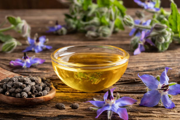 un tazón de aceite de aburrimiento con semillas de borage y flores - borage fotografías e imágenes de stock