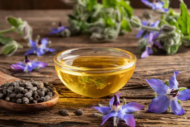 A bowl of borage oil with borage seeds and flowers