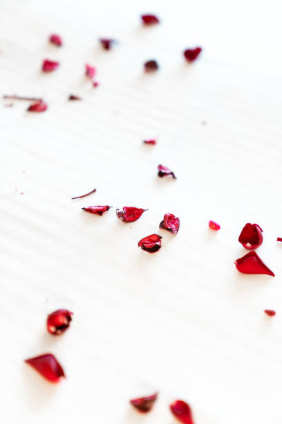 Red Rose Petals and balloons on White Bed