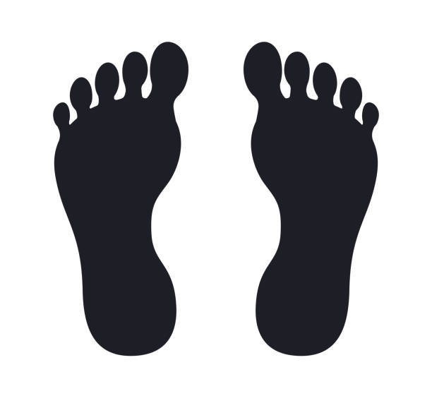 sylwetki podeszwy ludzkiej stopy boso - podeszwa stopy stock illustrations